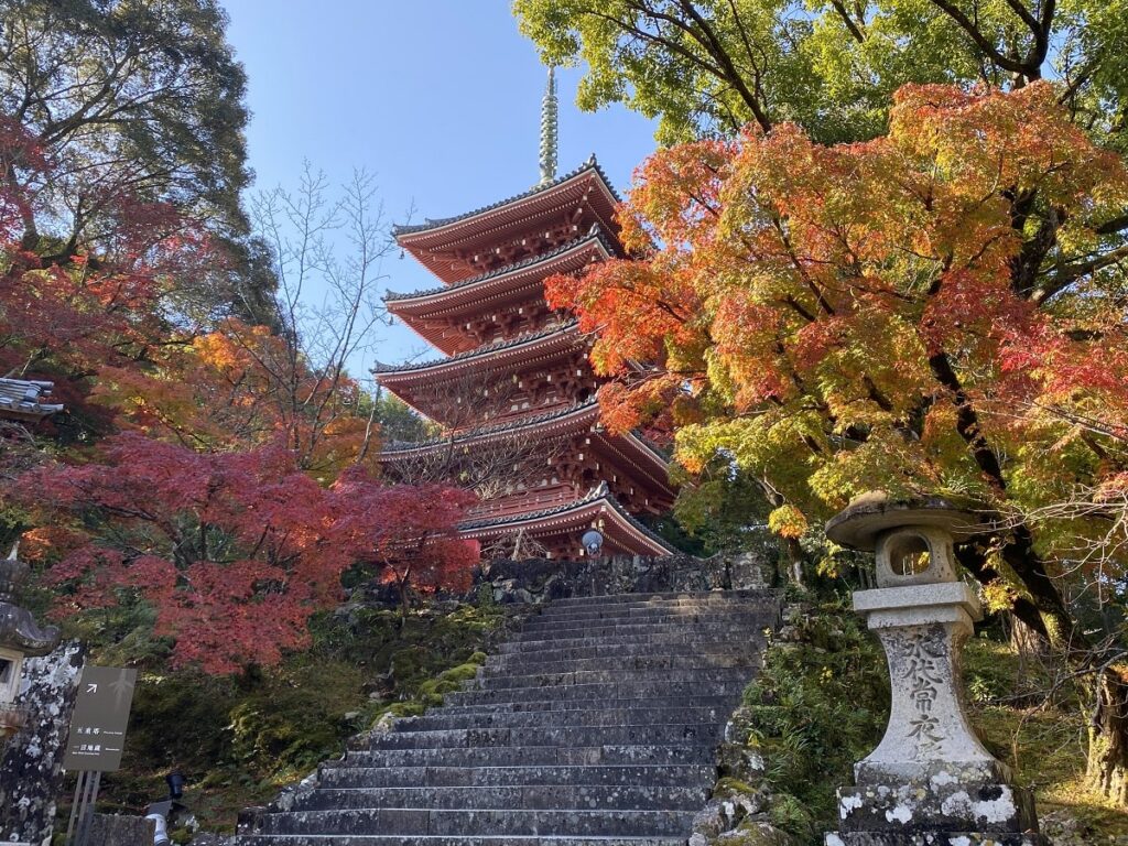 竹林寺のもみじと銀杏の美しい紅葉｜高知市で紅葉を見るなら！